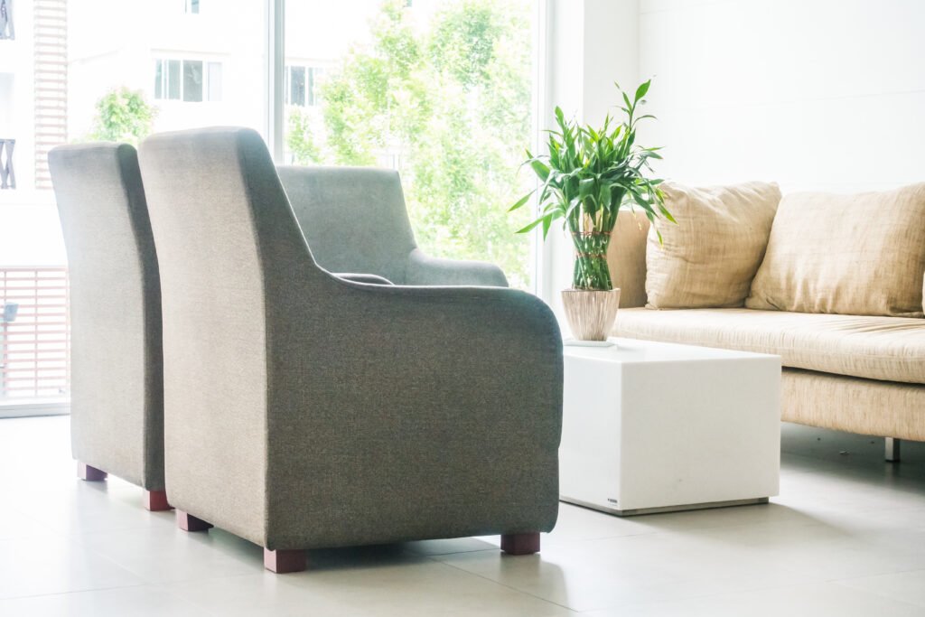 Lounge Chairs vase plant